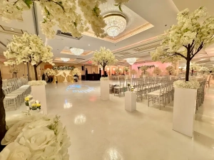 Astoria Banquets, Private Events, Sangeet ceremony, Chicago and suburbs, all-inclusive