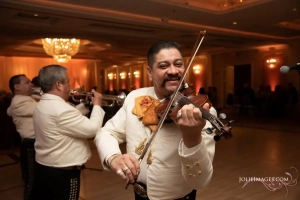 All-inclusive quinceanera package in Chicago and suburbs, venue near me